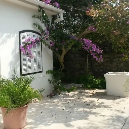 Holiday home Bougainvillea House Silba