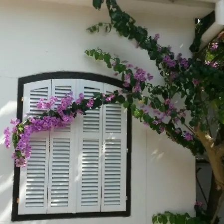 Bougainvillea House Holiday home *